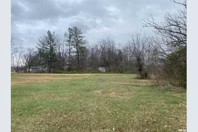 1213 US 45, Eldorado, IL 62930 - Photo 8