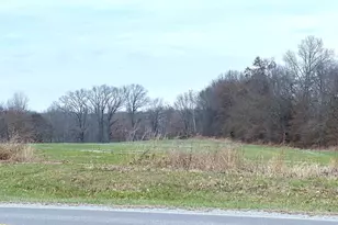 20 Mt Pisgah Rd, Buncombe, IL 62912 - Photo 6