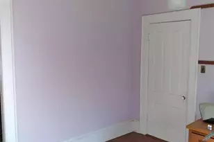 1018 8th Ave, Fulton, IL 61252 - Photo 20