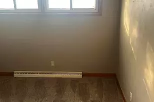 3638 84, Thomson, IL 61285 - Photo 36