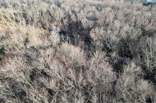 225 34th Ave, Rock Island, IL 61201 - Photo 14