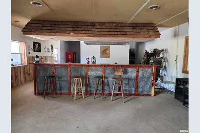 1230 US Hwy 45 N, Vienna, IL 62995 - Photo 34