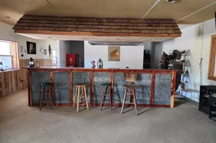 1230 US Hwy 45 N, Vienna, IL 62995 - Photo 34