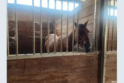 1230 US Hwy 45 N, Vienna, IL 62995 - Photo 12