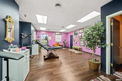 1703 10th Avenue, Fulton, IL 61252 - Photo 20