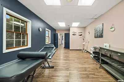 1703 10th Avenue, Fulton, IL 61252 - Photo 26