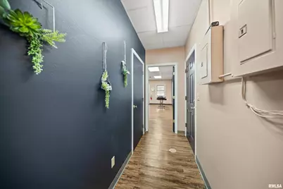 1703 10th Avenue, Fulton, IL 61252 - Photo 24