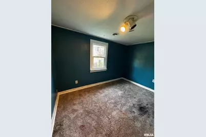 920 5th Street, Colona, IL 61241 - Photo 10