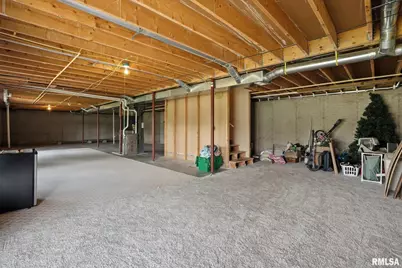 106 Valley View Drive, Sherrard, IL 61281 - Photo 28