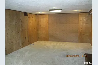 301 N Church St Street, Albany, IL 61230 - Photo 10