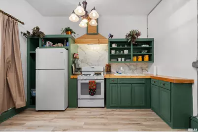 309 Main Street, Savanna, IL 61074 - Photo 34