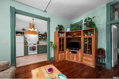 309 Main Street, Savanna, IL 61074 - Photo 38