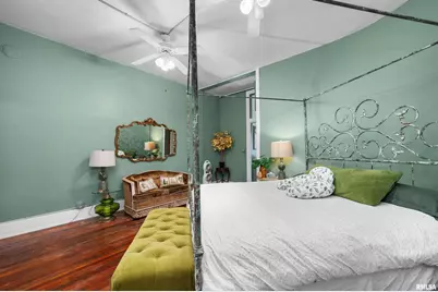 309 Main Street, Savanna, IL 61074 - Photo 42