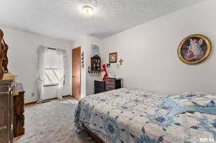 1422 McCloud Rd Rd, Aledo, IL 61231 - Photo 22