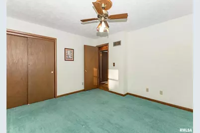 159 Deer Park Dr Drive, Geneseo, IL 61254 - Photo 18