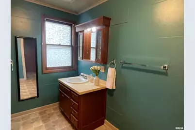 403 E Chestnut Street, Geneseo, IL 61254 - Photo 16