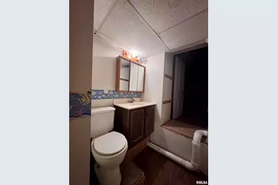 916 7th Street, Fulton, IL 61252 - Photo 24