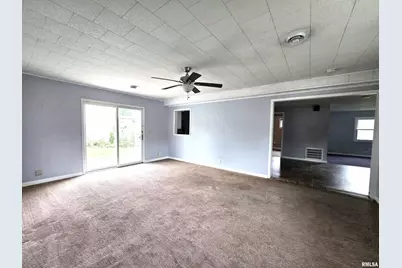 306 S 8th Avenue, Albany, IL 61230 - Photo 10