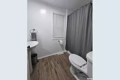 607 N Bluff Street, Albany, IL 61230 - Photo 12