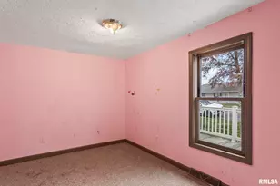 220 E Wilcox St, Springfield, IL 62707 - Photo 12