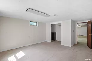 109 N 3rd St, Colona, IL 61241 - Photo 26