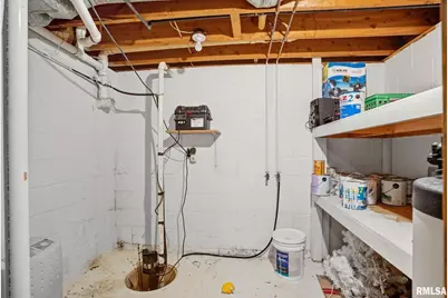 109 N 3rd Street, Colona, IL 61241 - Photo 30