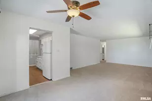109 N 3rd St, Colona, IL 61241 - Photo 14