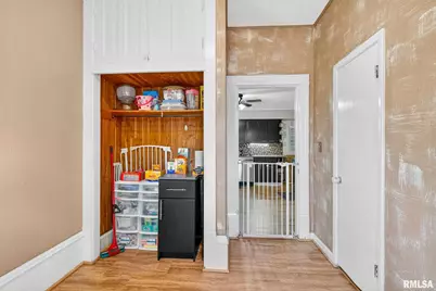 919 9th Avenue, Fulton, IL 61252 - Photo 36