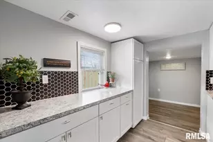 321 2nd Ave E, Milan, IL 61264 - Photo 12