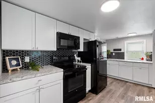 321 2nd Ave E, Milan, IL 61264 - Photo 16