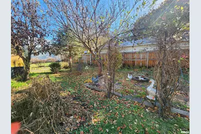 122 W South St Street, Geneseo, IL 61254 - Photo 44