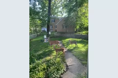 2019 11th Street Place, East Moline, IL 61244 - Photo 50