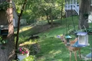 2019 11th St Pl, East Moline, IL 61244 - Photo 46