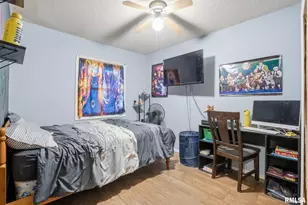 509 28th Ave W, Milan, IL 61264 - Photo 12