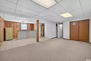 304 4th Ave, Colona, IL 61241 - Photo 24