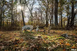 395 N Hankins Rd, Harrisburg, IL 62946 - Photo 20