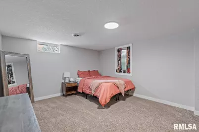 102 Amber Lane, Geneseo, IL 61254 - Photo 42