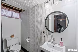 102 Amber Ln, Geneseo, IL 61254 - Photo 44