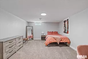 102 Amber Ln, Geneseo, IL 61254 - Photo 40