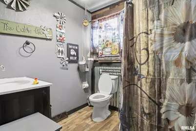 353 E 4th Avenue, Woodhull, IL 61490 - Photo 30