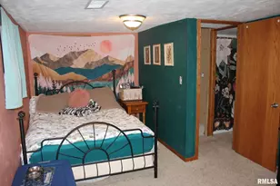 321 W South St, Cambridge, IL 61238 - Photo 10