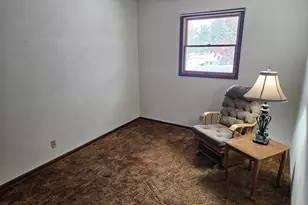 153 Deer Park Dr, Geneseo, IL 61254 - Photo 12