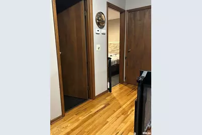 10 Cayuga Trail Trail, Galena, IL  - Photo 16