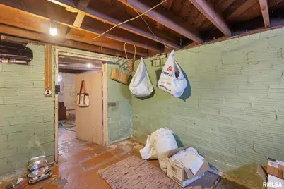 202 W Williams Street, Atkinson, IL 61235 - Photo 28