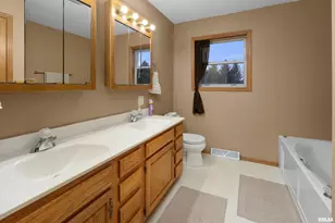 1231 90th St, Joy, IL - Photo 32