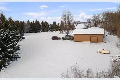 1231 90th Street, Joy, IL  - Photo 12