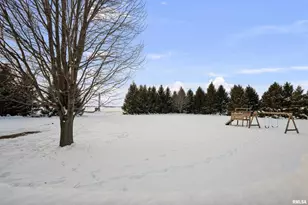 1231 90th St, Joy, IL - Photo 16