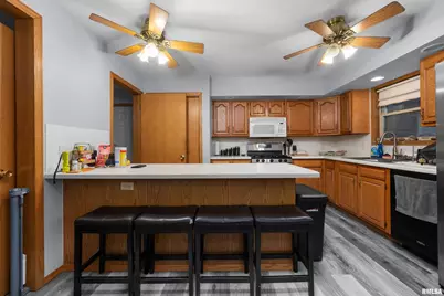 1231 90th Street, Joy, IL  - Photo 20