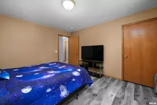 1231 90th St, Joy, IL - Photo 28