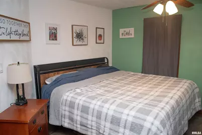 714 7th Avenue, Erie, IL 61250 - Photo 30